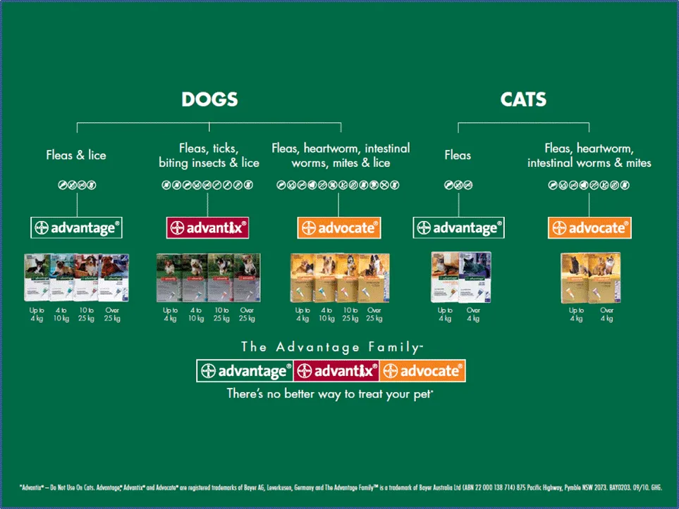 Advantage for Cats Over 4kg