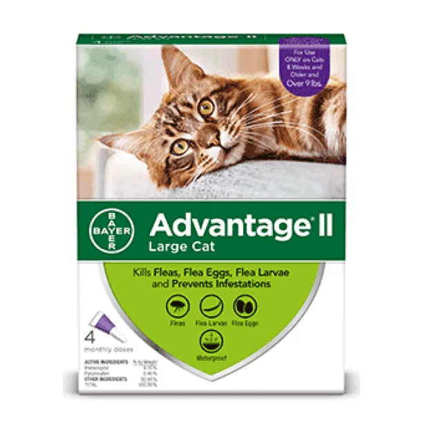 Advantage II For Large Cats