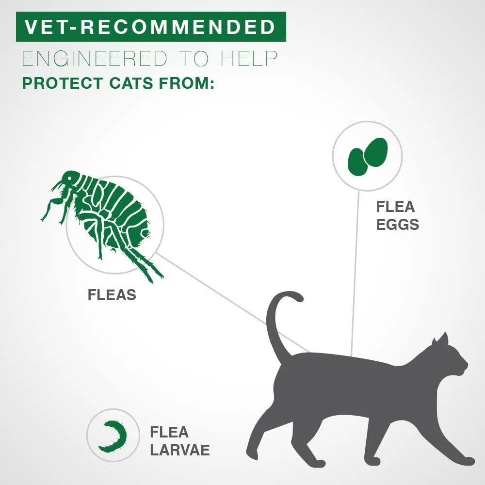 Advantage II For Large Cats
