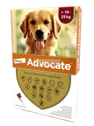 Advocate Fleas & Heartworm Prevention for Large Dog (10 to 25Kg)