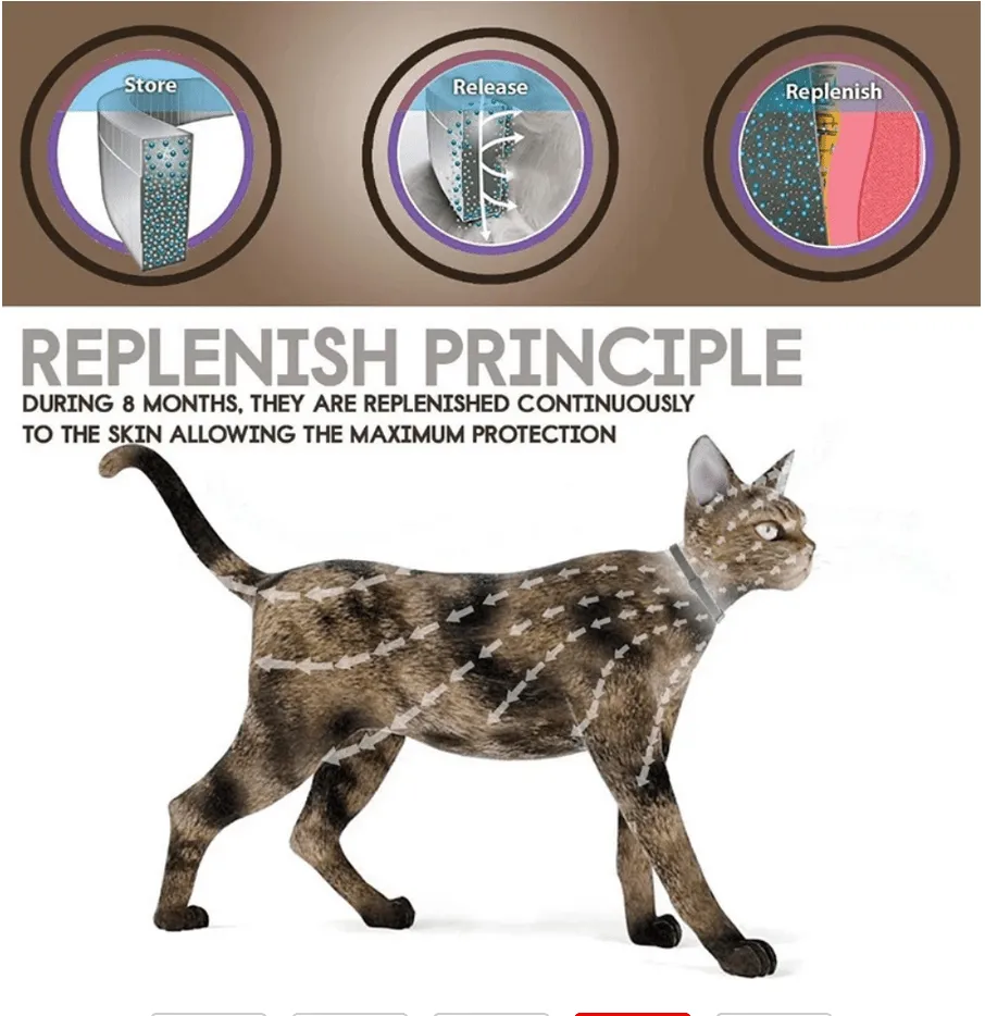 Anti Flea & Tick Collar (Ideal for Outdoor Cats & Dogs)