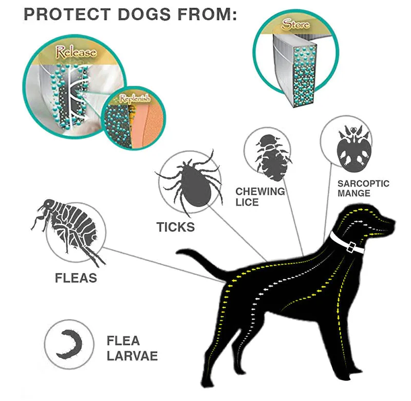 Anti Flea & Tick Collar (Ideal for Outdoor Cats & Dogs)