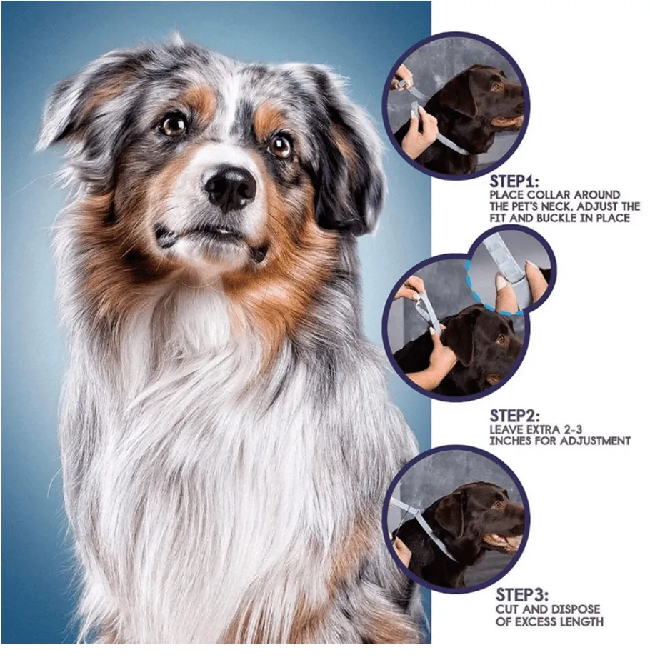 Anti Flea & Tick Collar (Ideal for Outdoor Cats & Dogs)