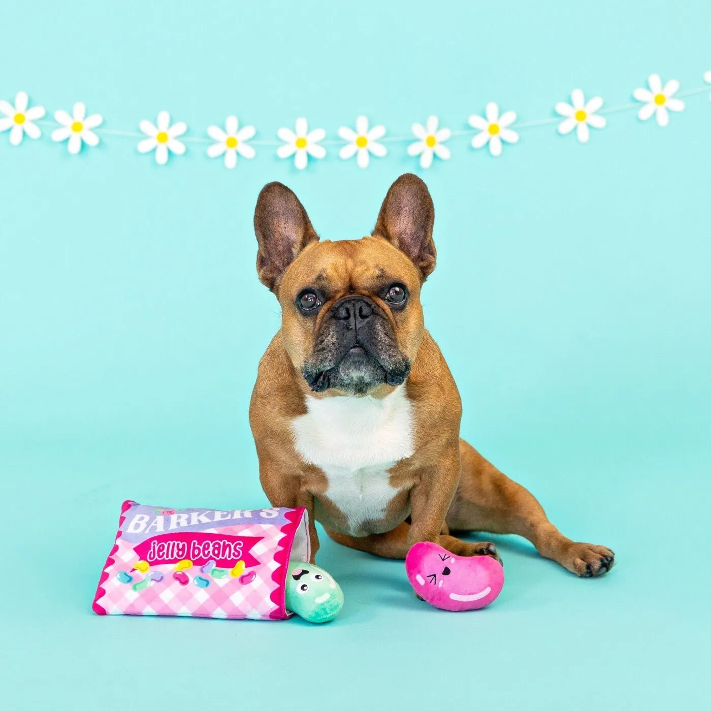 barkers jelly beans hide & seek toy