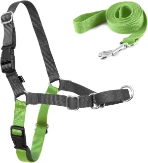 Better Walk No Pull Dog Harness and Leash Set, Vest Harness Dog Training Walking of Your Puppy Harness Medium Dog Harness, Quick Fit Design for Medium, and Large Dogs (Apple Green)
