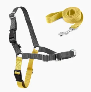 Better Walk No Pull Dog Harness and Leash Set, Vest Harness Dog Training Walking of Your Puppy Harness Medium Dog Harness, Quick Fit Design for Medium, and Large Dogs (Yellow)
