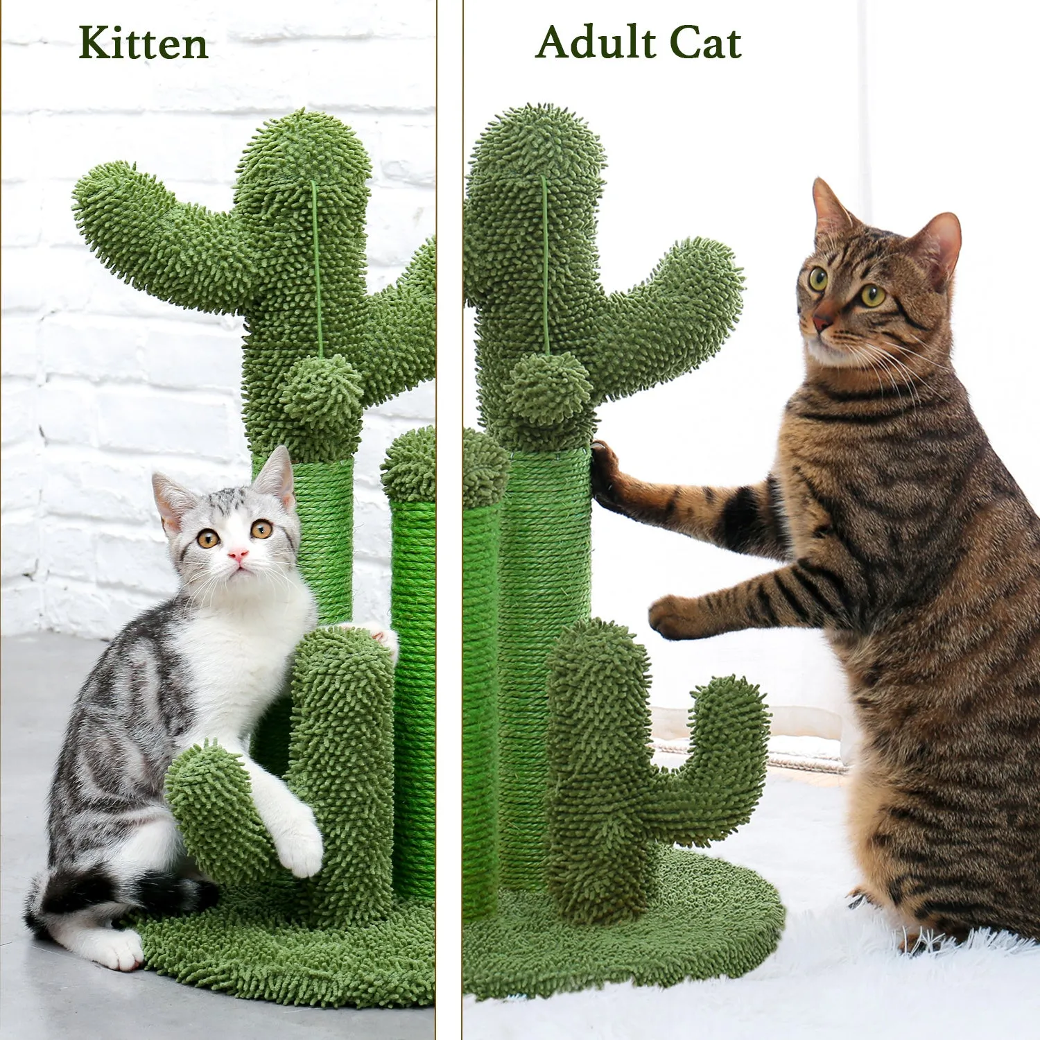 Cactus Scratcher Interactive with Dangling Ball for Cats