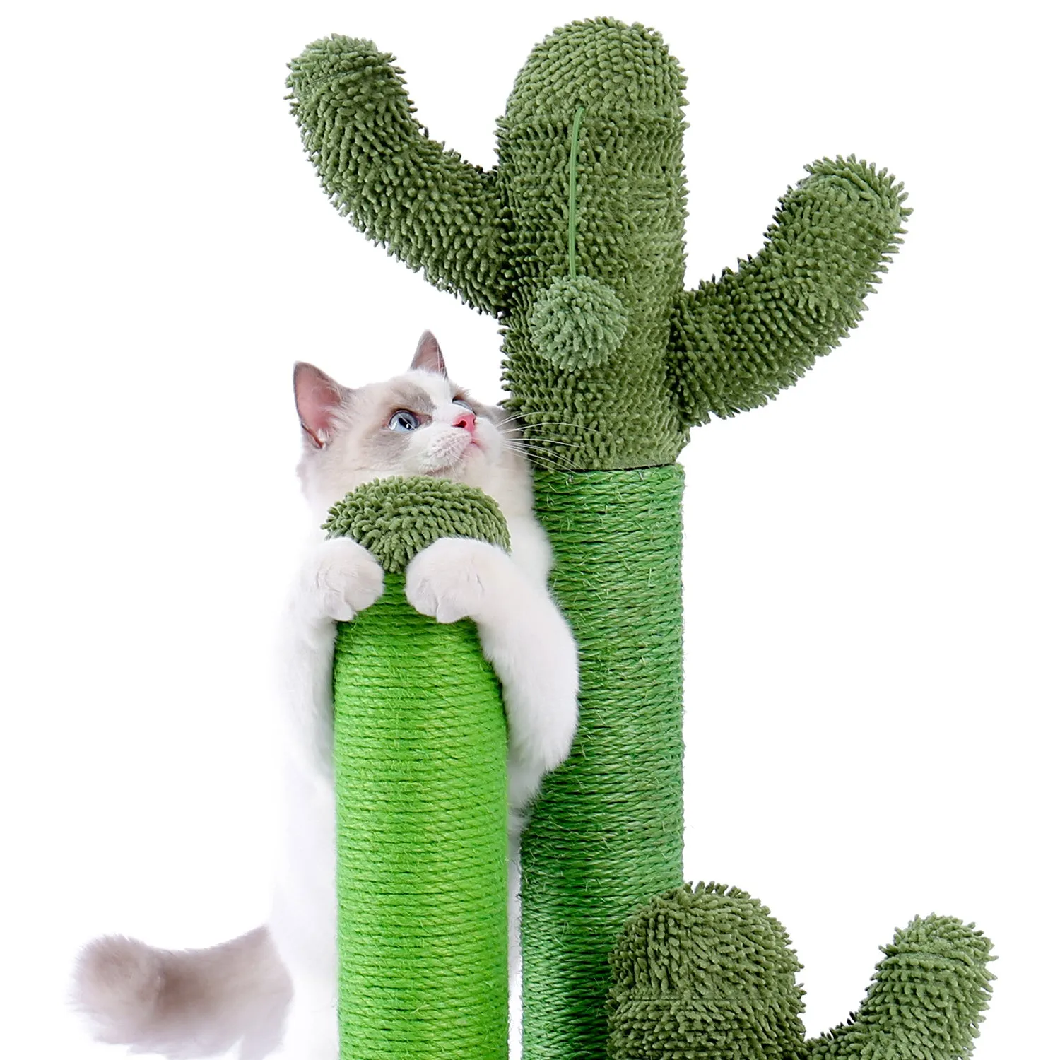 Cactus Scratcher Interactive with Dangling Ball for Cats