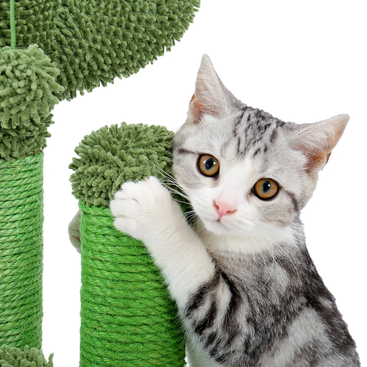 Cactus Scratcher Interactive with Dangling Ball for Cats