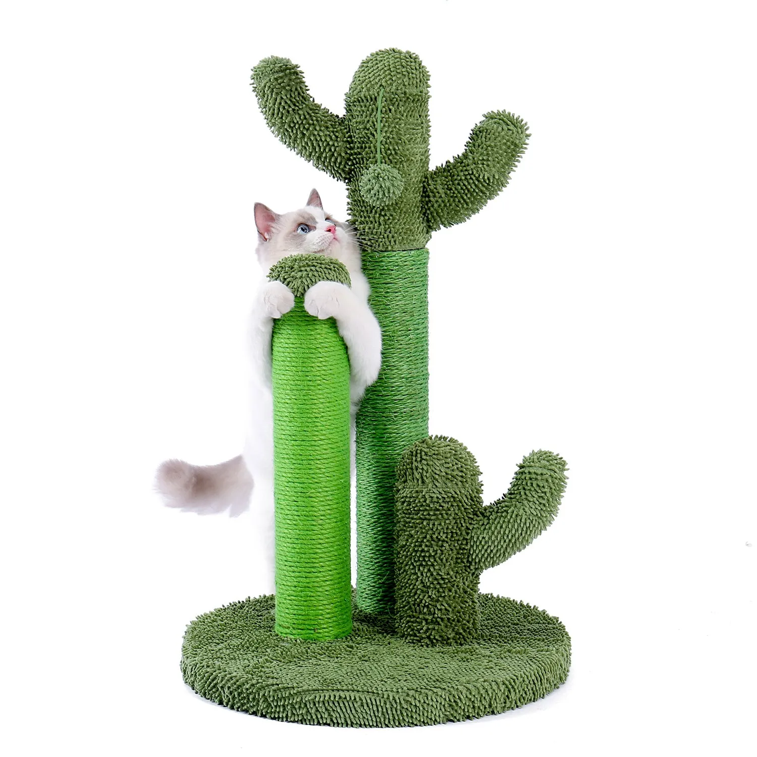 Cactus Scratcher Interactive with Dangling Ball for Cats