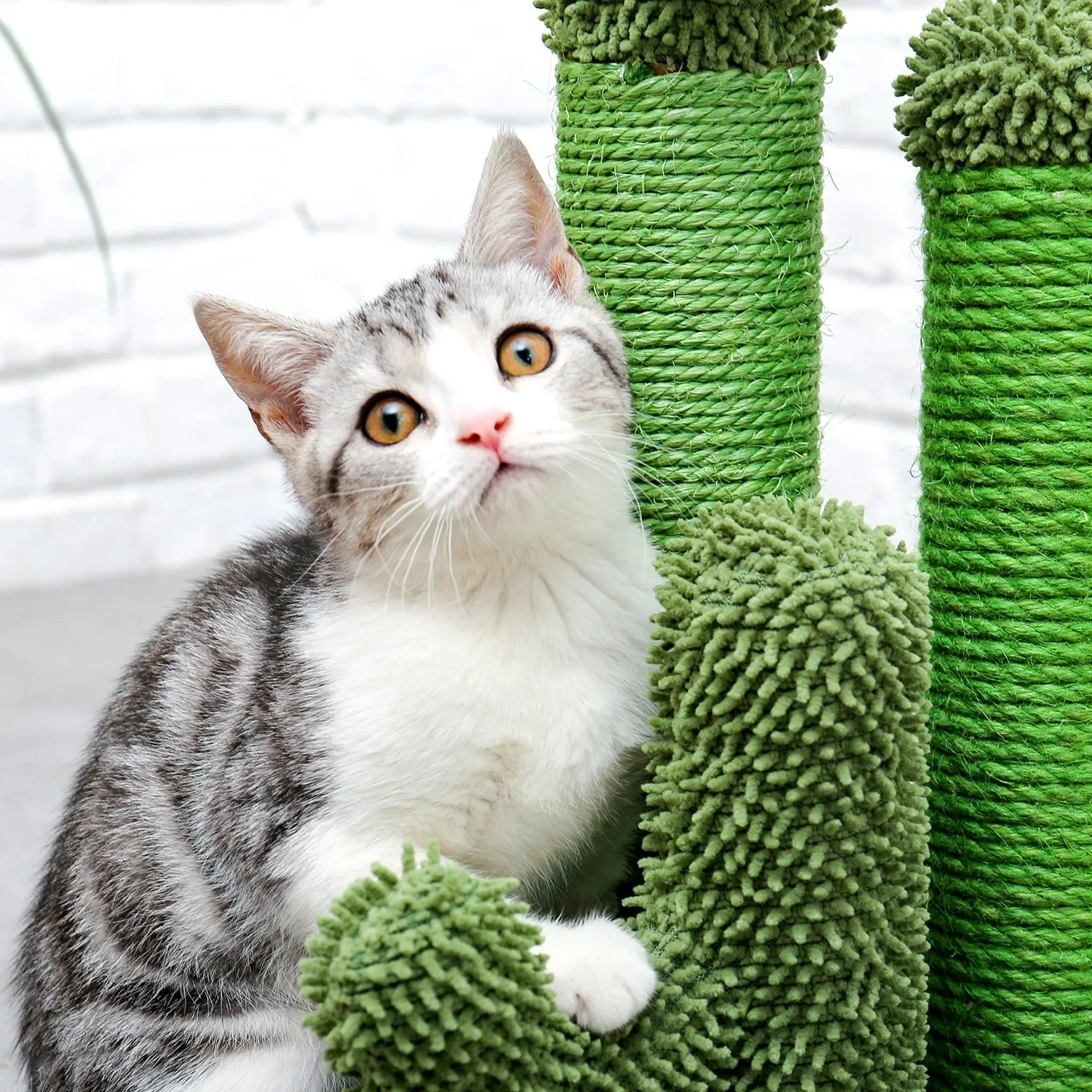 Cactus Scratcher Interactive with Dangling Ball for Cats
