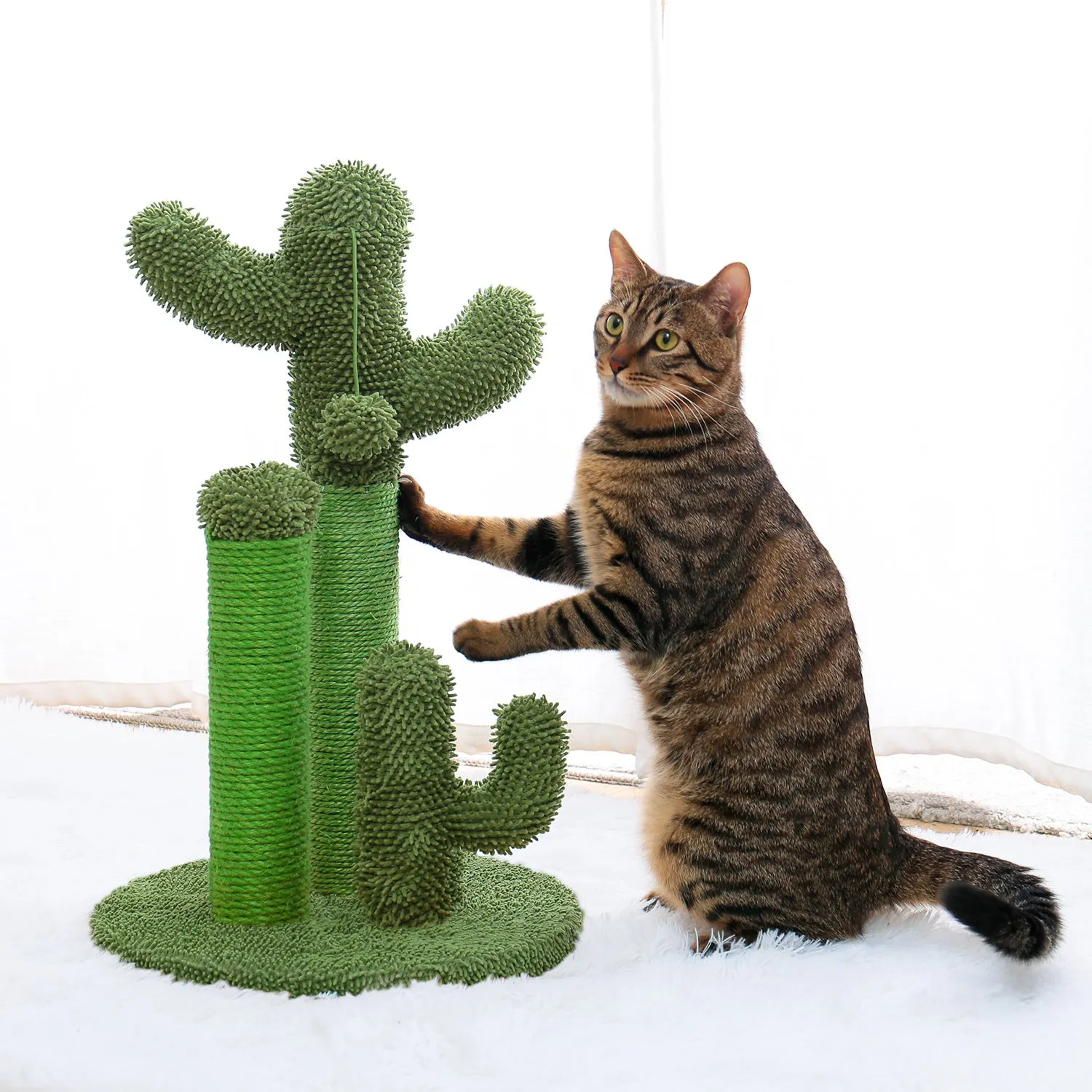 Cactus Scratcher Interactive with Dangling Ball for Cats