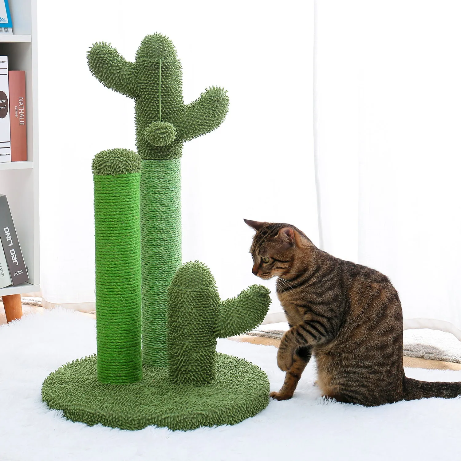 Cactus Scratcher Interactive with Dangling Ball for Cats