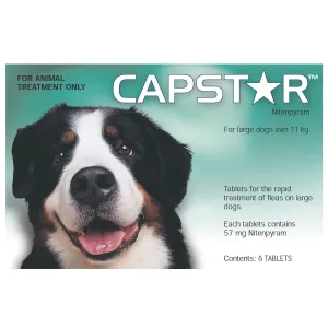 CAPSTAR - LARGE DOGS 6S