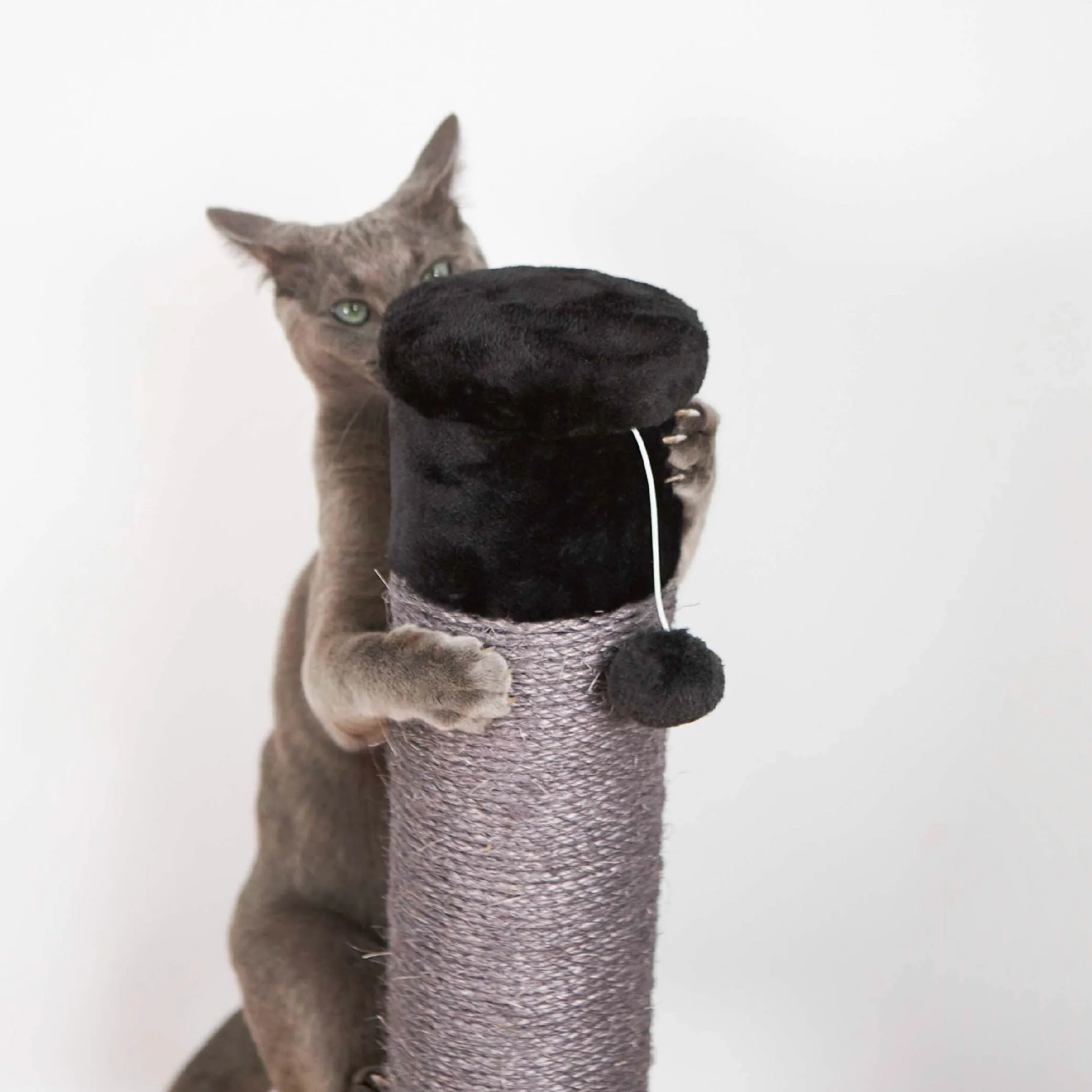 Cat Scratch Post - Medium