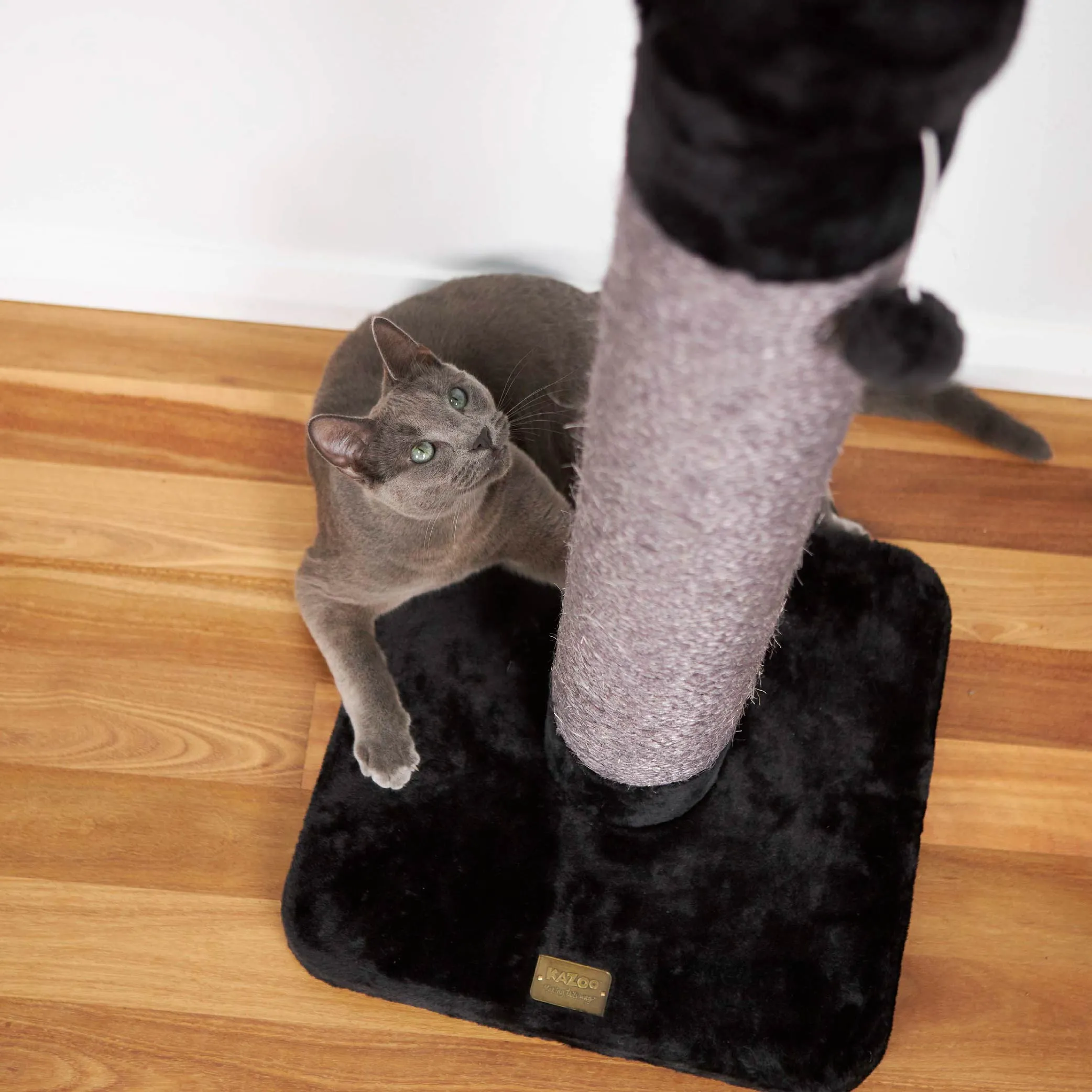 Cat Scratch Post - Medium
