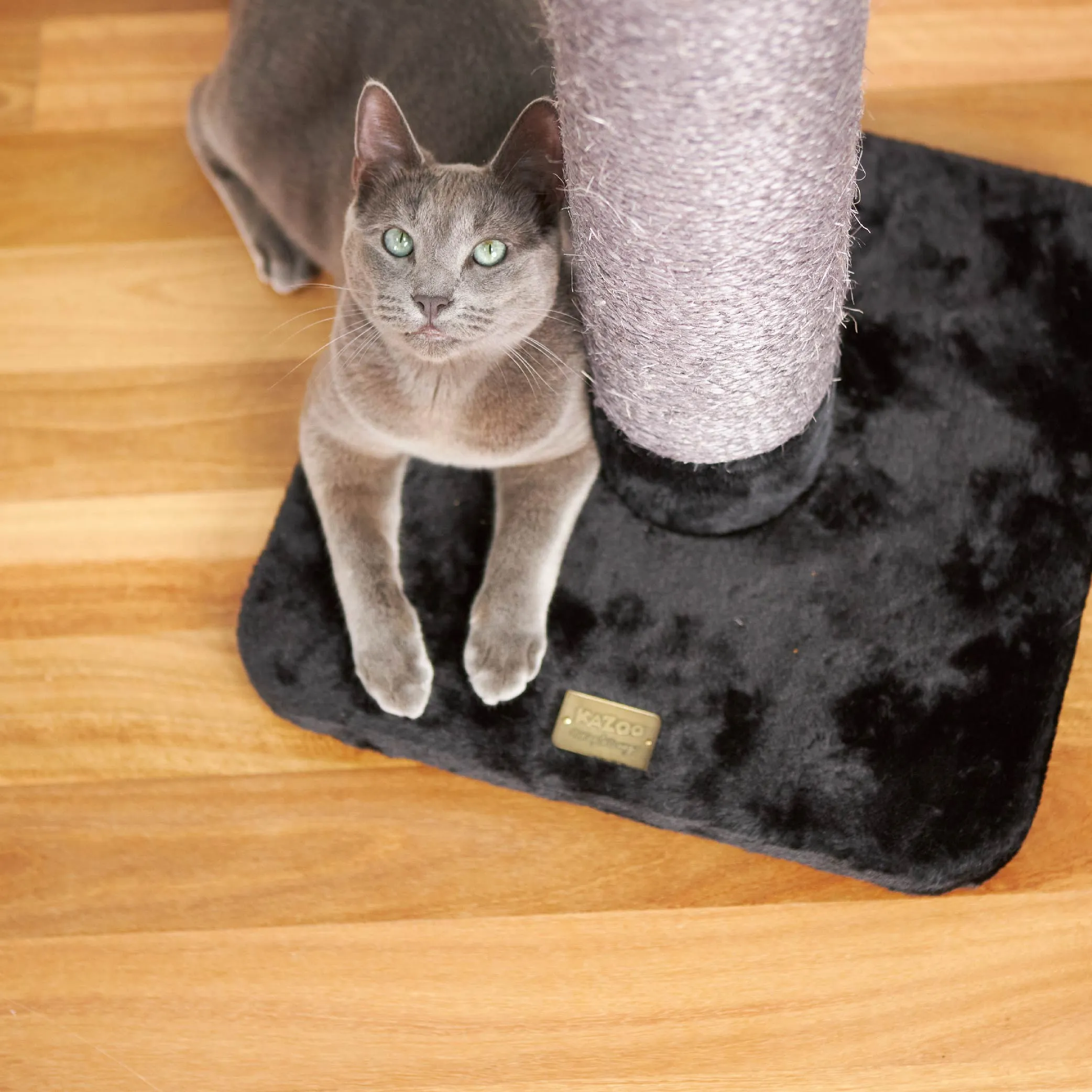 Cat Scratch Post - Medium