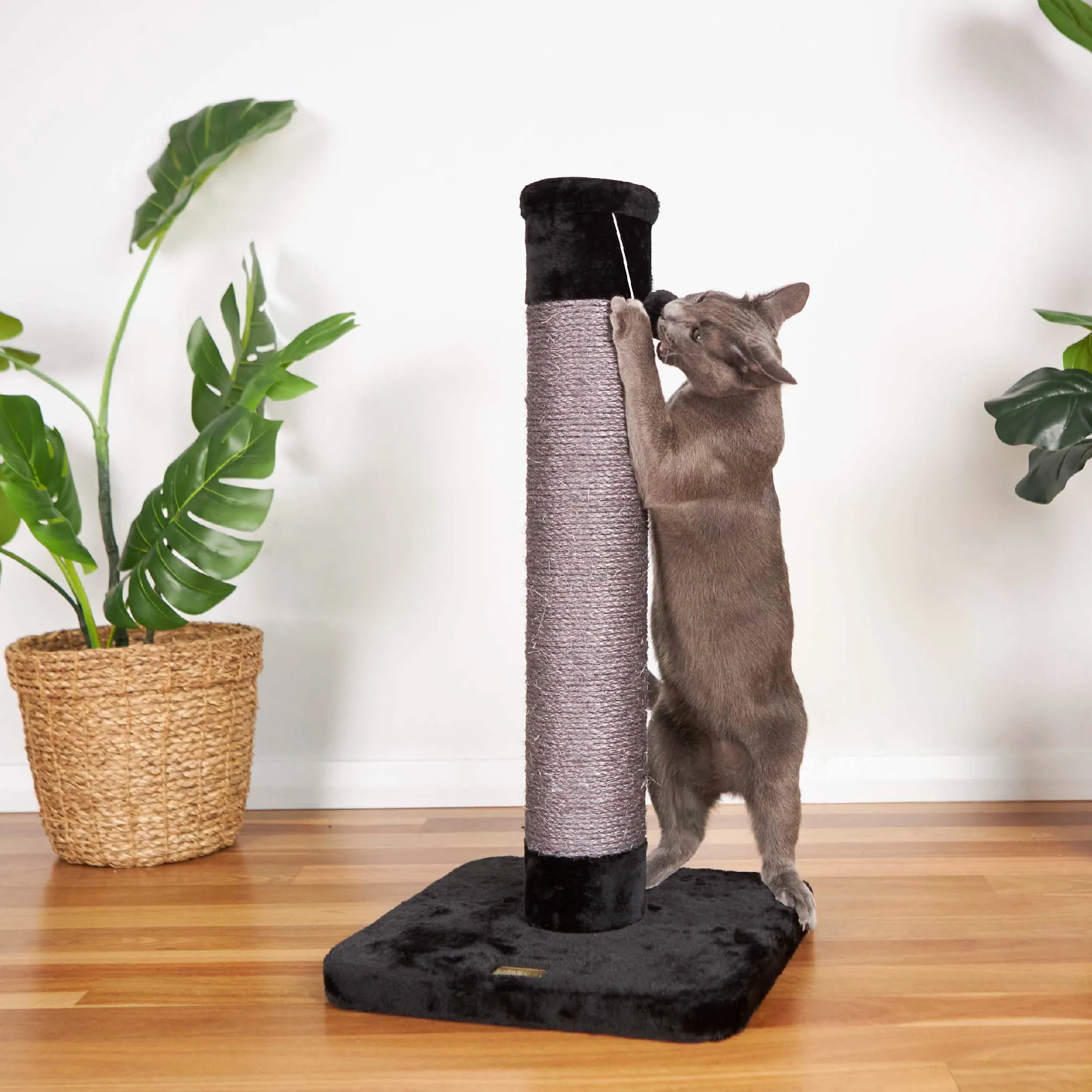 Cat Scratch Post - Medium