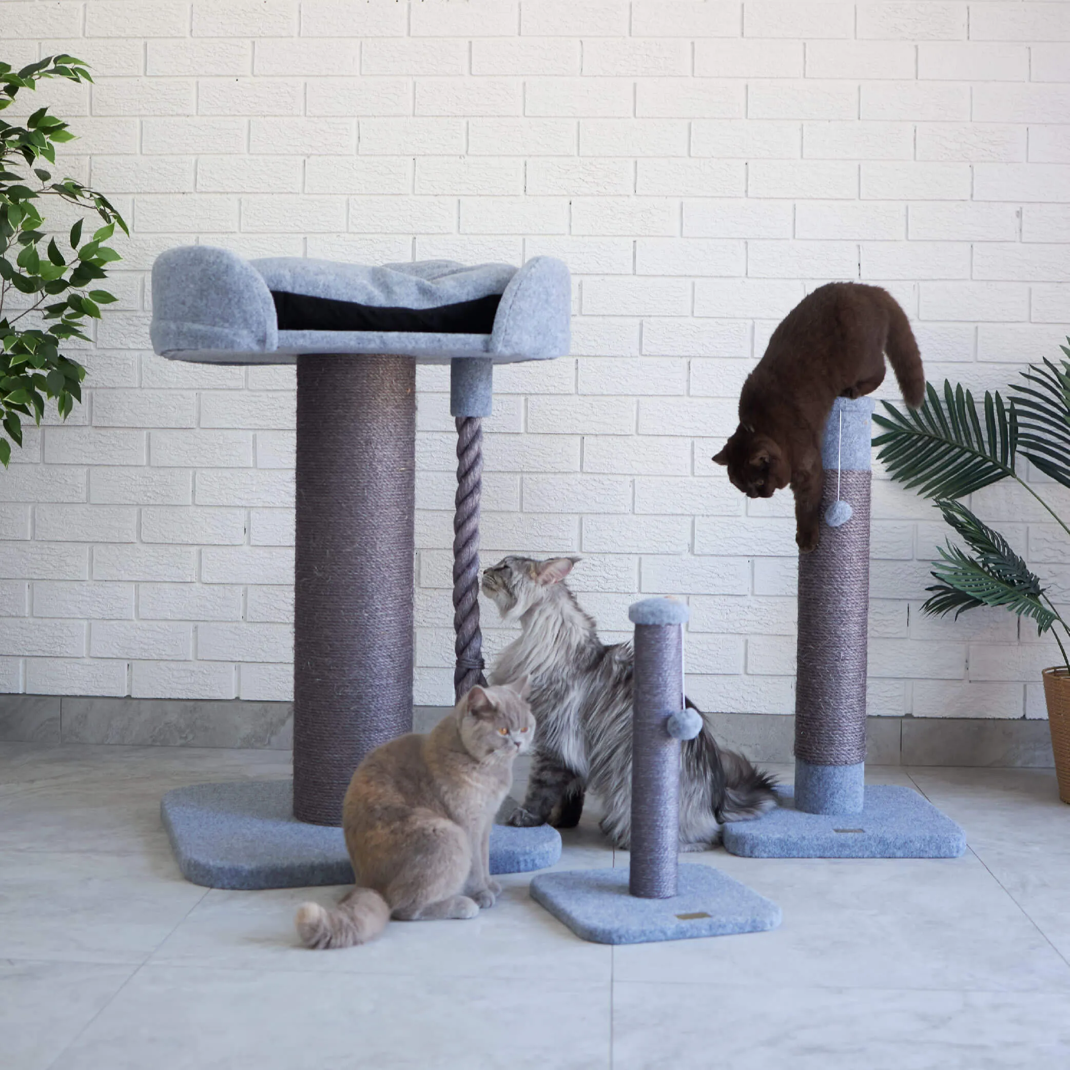 Cat Scratch Post - Medium
