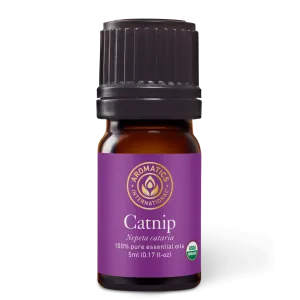 Catnip Essential Oil