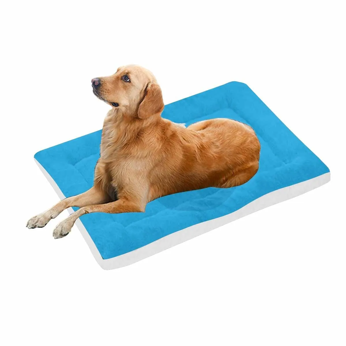 Custom Photo Pocket Pet Pad