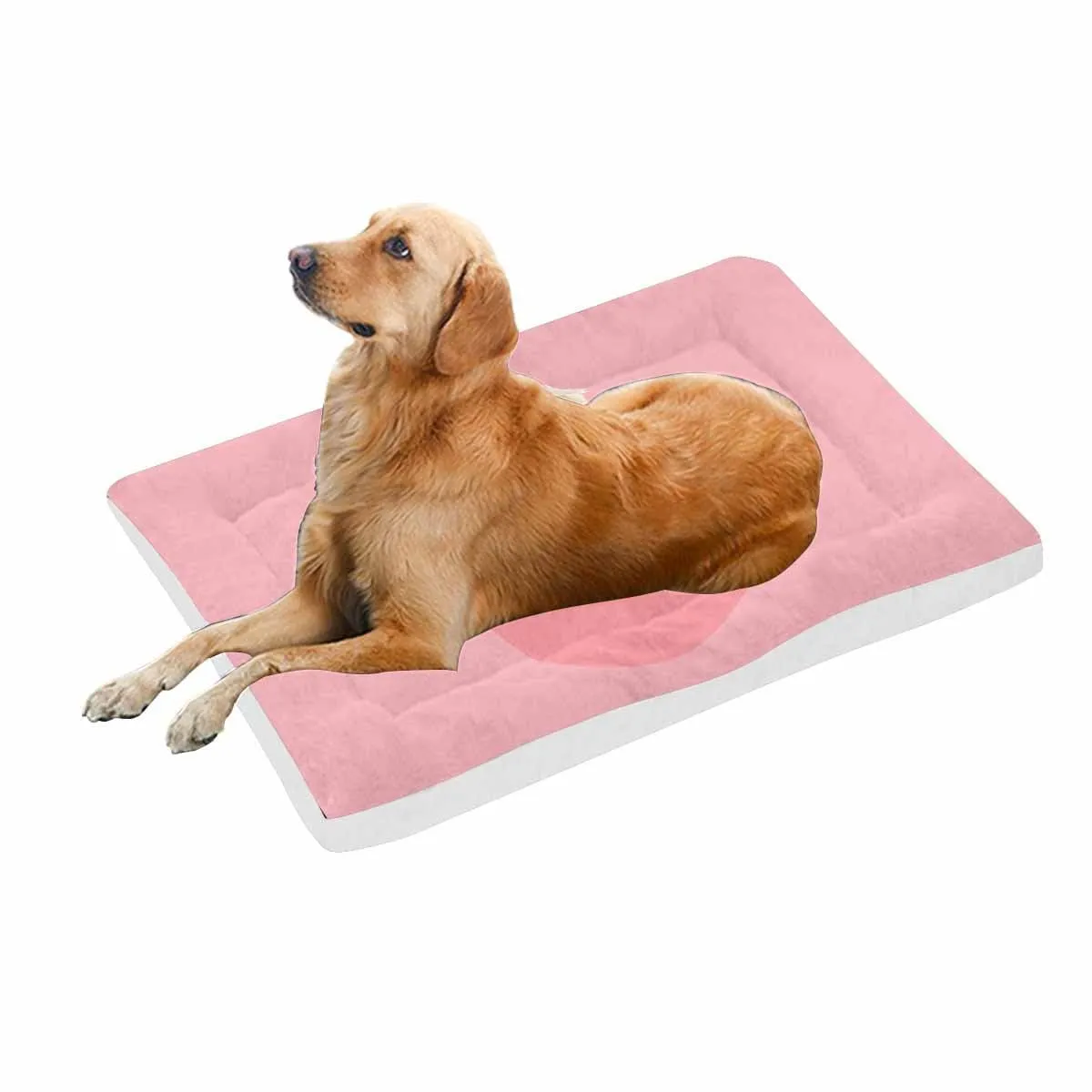 Custom Photo Pocket Pet Pad