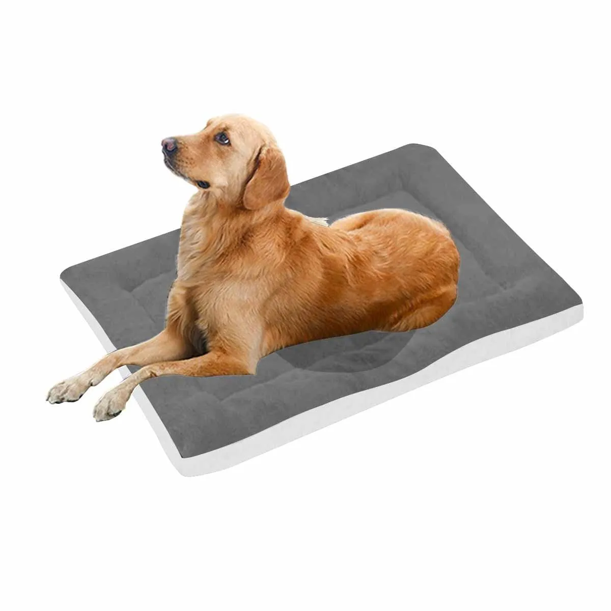 Custom Photo Pocket Pet Pad