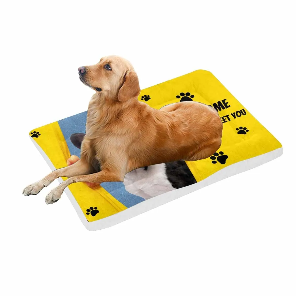 Custom Photo Yellow Welcome Curtain Pet Pad