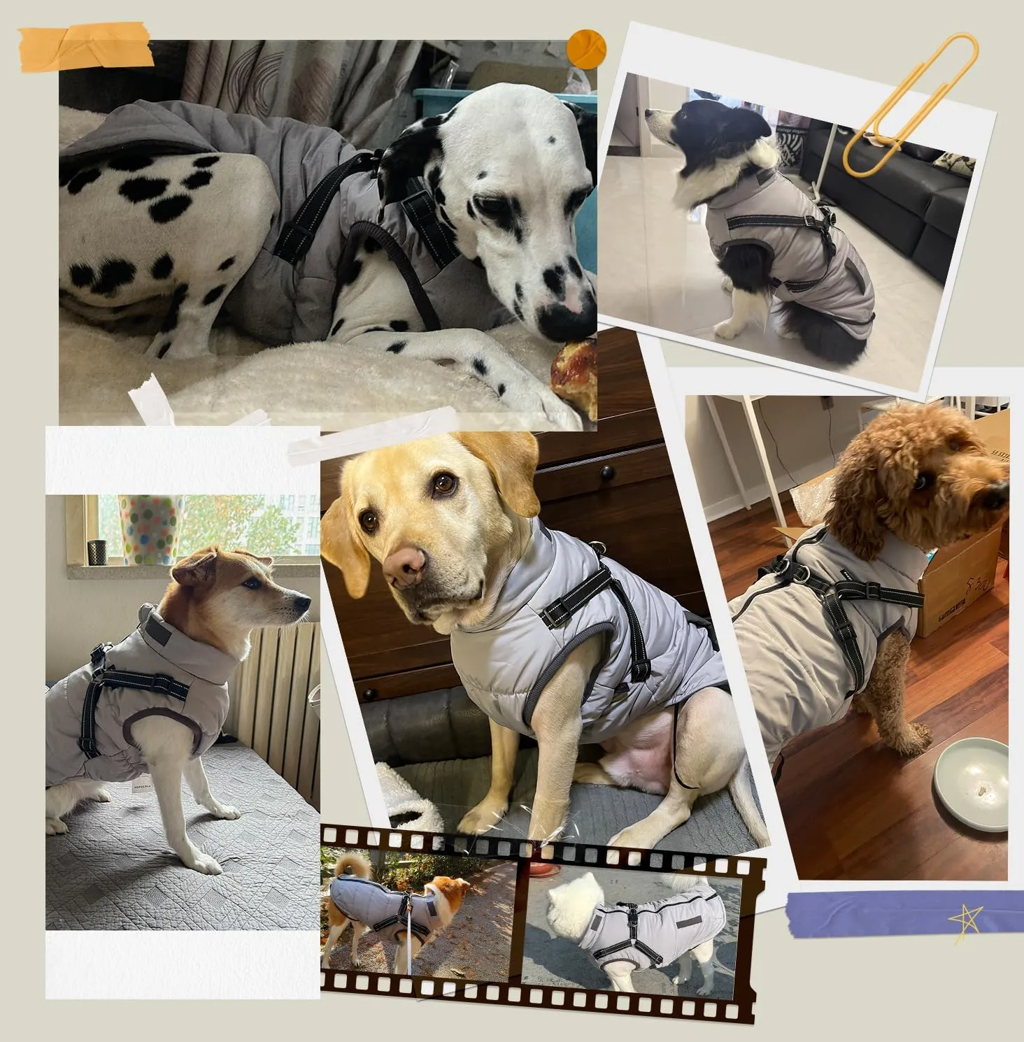 Dog Winter Coat with Harness Water-Resistant & Fleece-Lined | Adjustable 3XL-7XL for 22-77lbs Breeds (Grey) (Traction Vest Cotton Clothes,3XL)