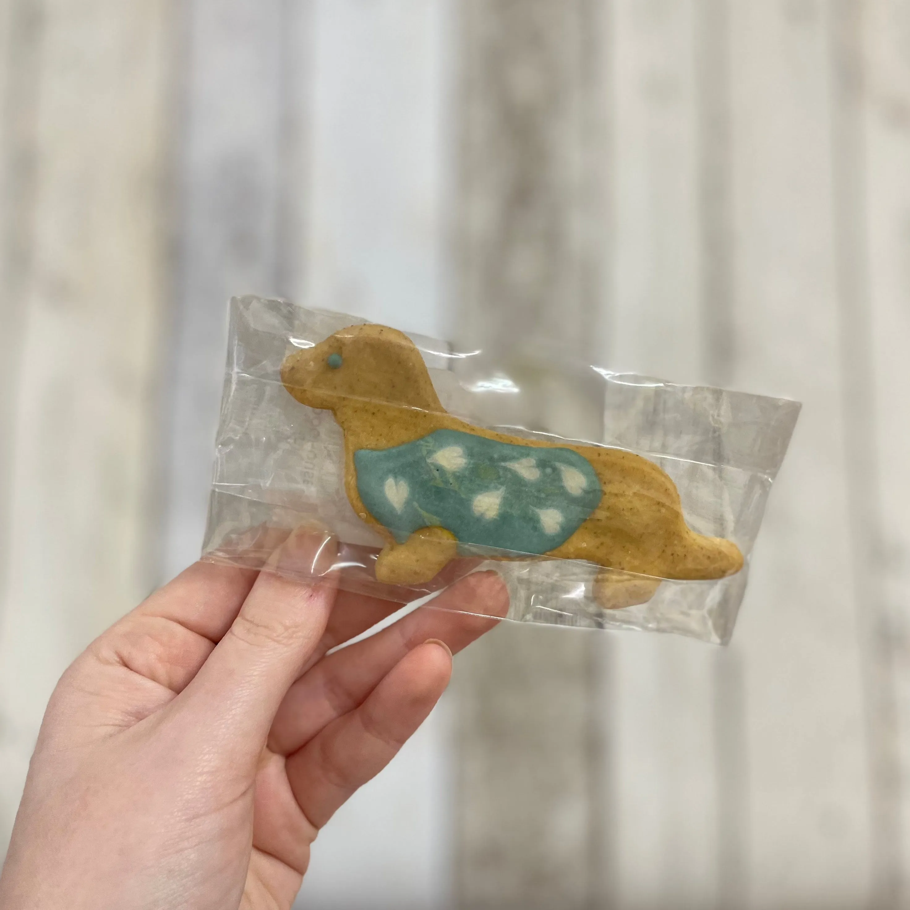Handmade Dachshund Biscuits for Dogs