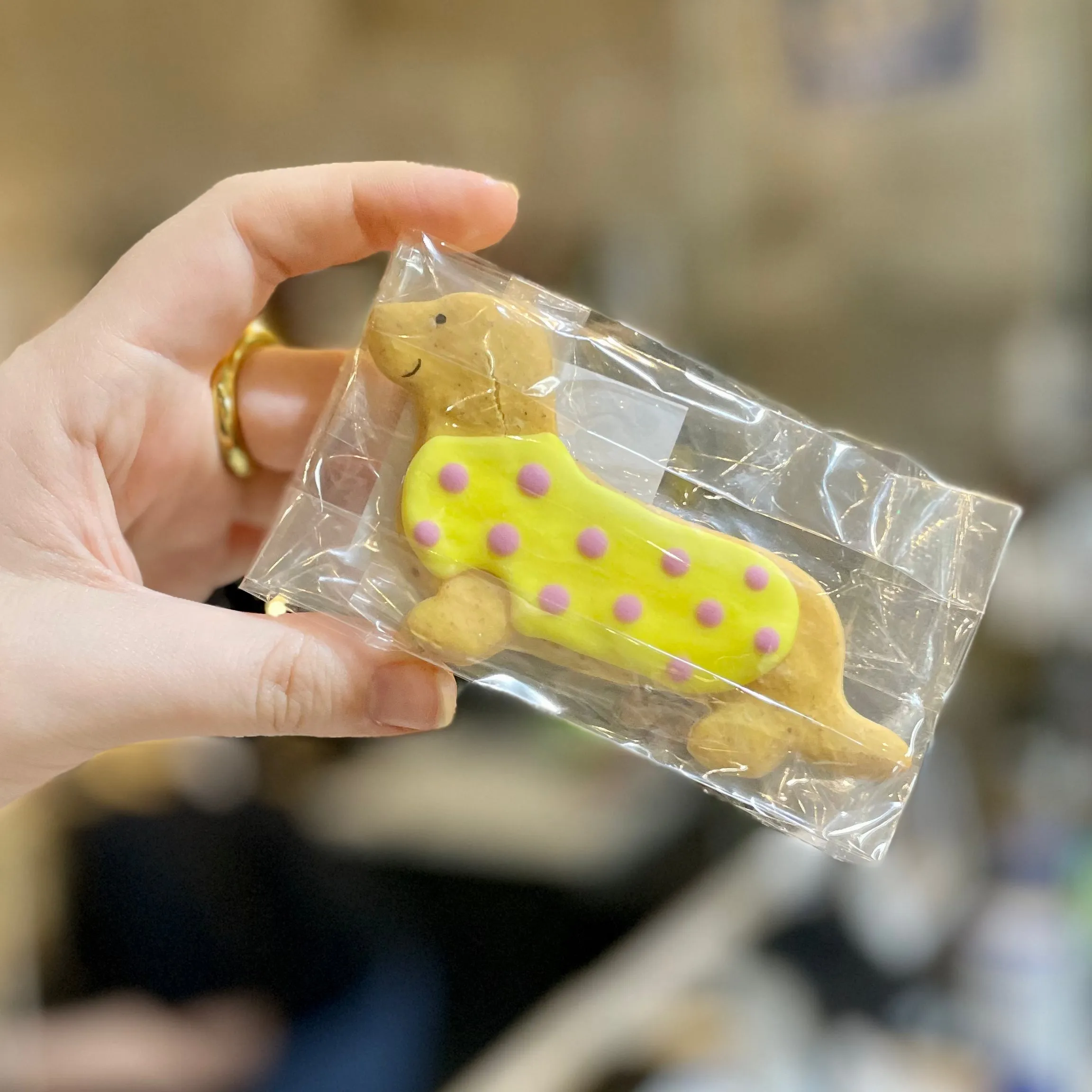 Handmade Dachshund Biscuits for Dogs