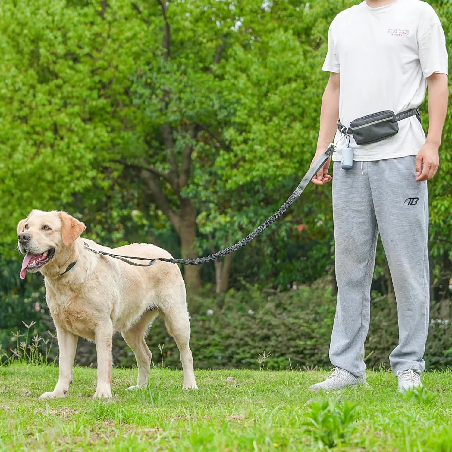 Hands-Free Dog Leash for Dogs up to 130 lbs  Shock-Absorbing Bungee, Padded Handles, Adjustable Waist Belt,Support Pad & Zipper Pouch  with Bag Dispenser  Running, Jogging, Walking, Cool Gray