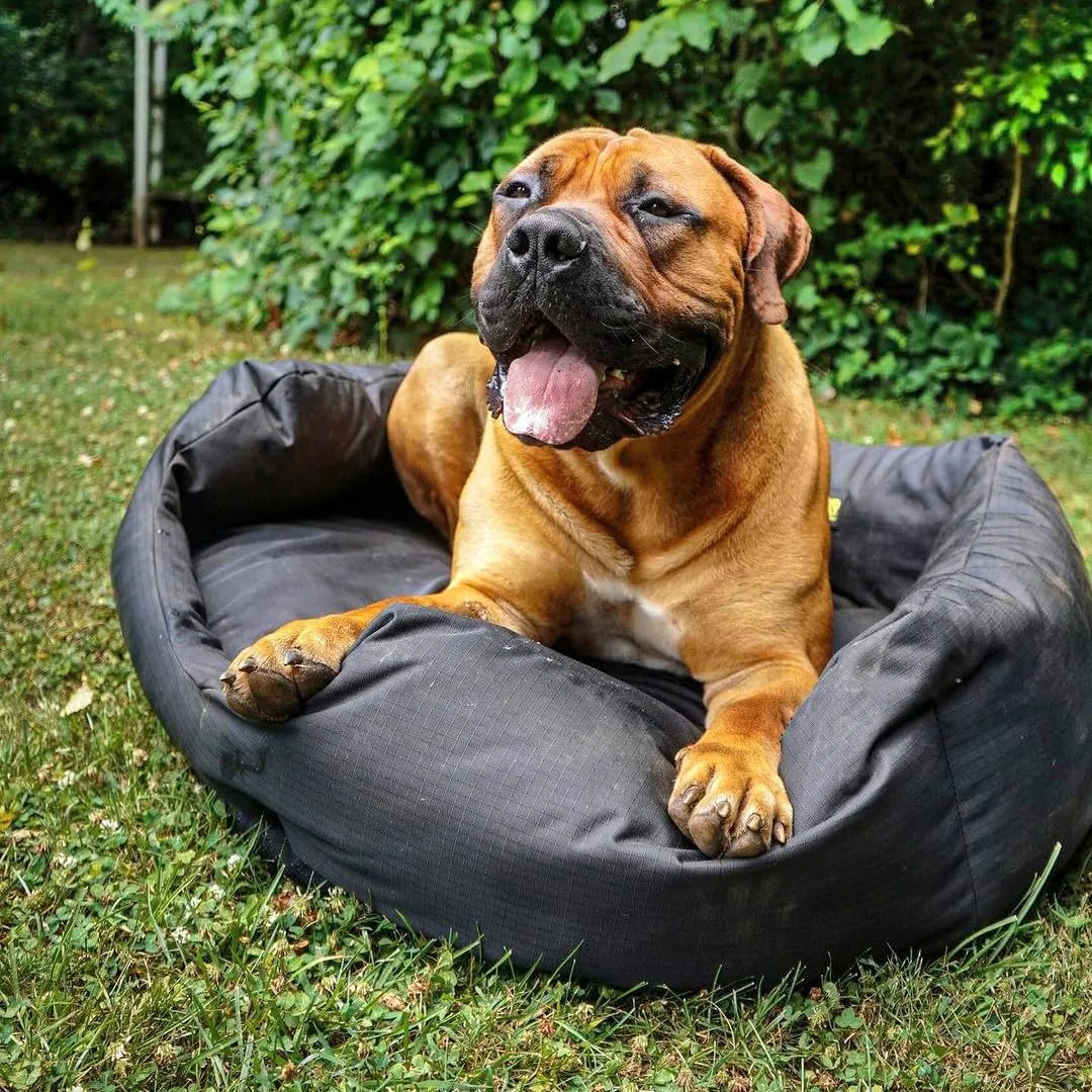 K9 Ballistics Tough Ripstop Oval Bolster Dog Bed, Den Shape, Scratch-Resistant, Machine Washable - Small, Black Ripstop