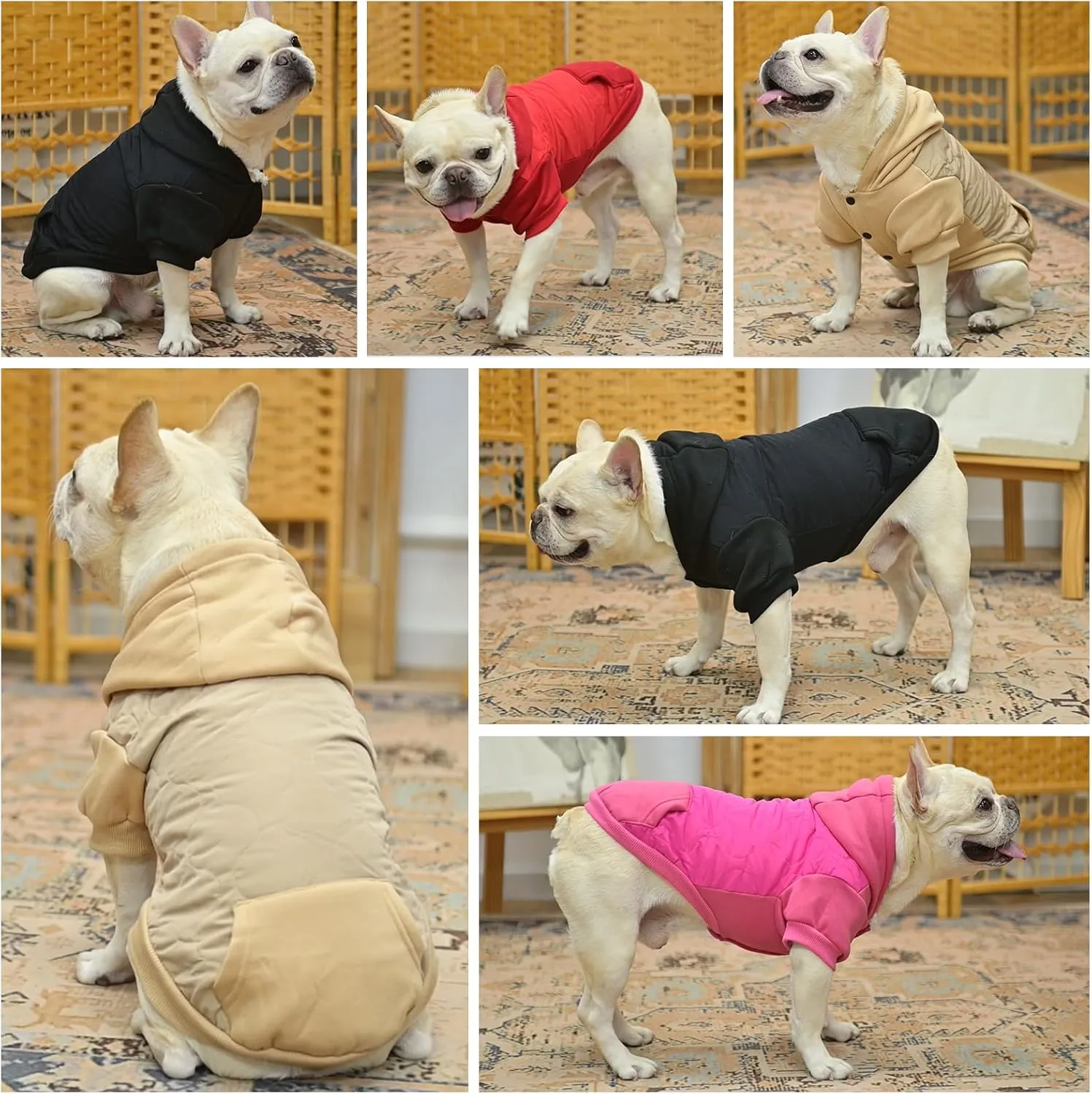 KOOLTAIL Warm Coat for Small Dogs, Waterproof Jacket with Leash Hole, Cold Weather Vest for Winter, Soft Pet Hoodie Sweatshirt for Puppy Cats, Girls, Boys Beige S