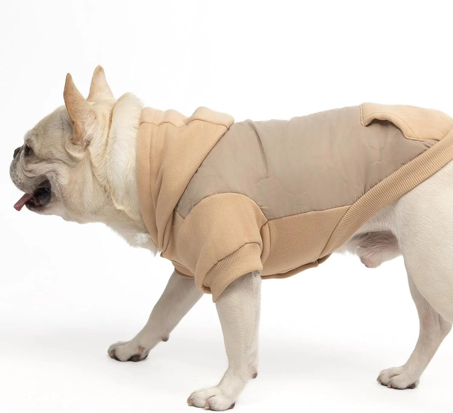 KOOLTAIL Warm Coat for Small Dogs, Waterproof Jacket with Leash Hole, Cold Weather Vest for Winter, Soft Pet Hoodie Sweatshirt for Puppy Cats, Girls, Boys Beige S