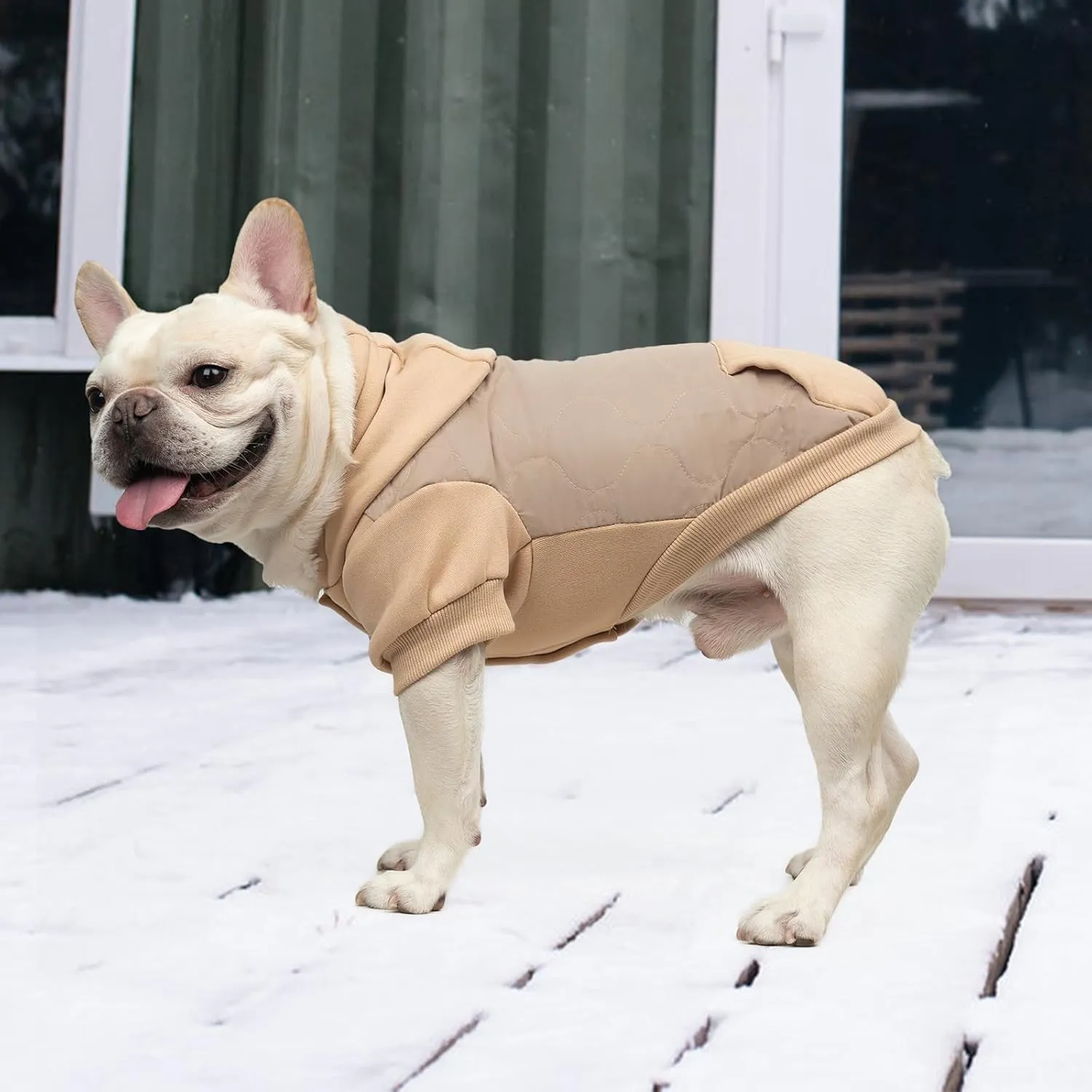 KOOLTAIL Warm Coat for Small Dogs, Waterproof Jacket with Leash Hole, Cold Weather Vest for Winter, Soft Pet Hoodie Sweatshirt for Puppy Cats, Girls, Boys Beige S