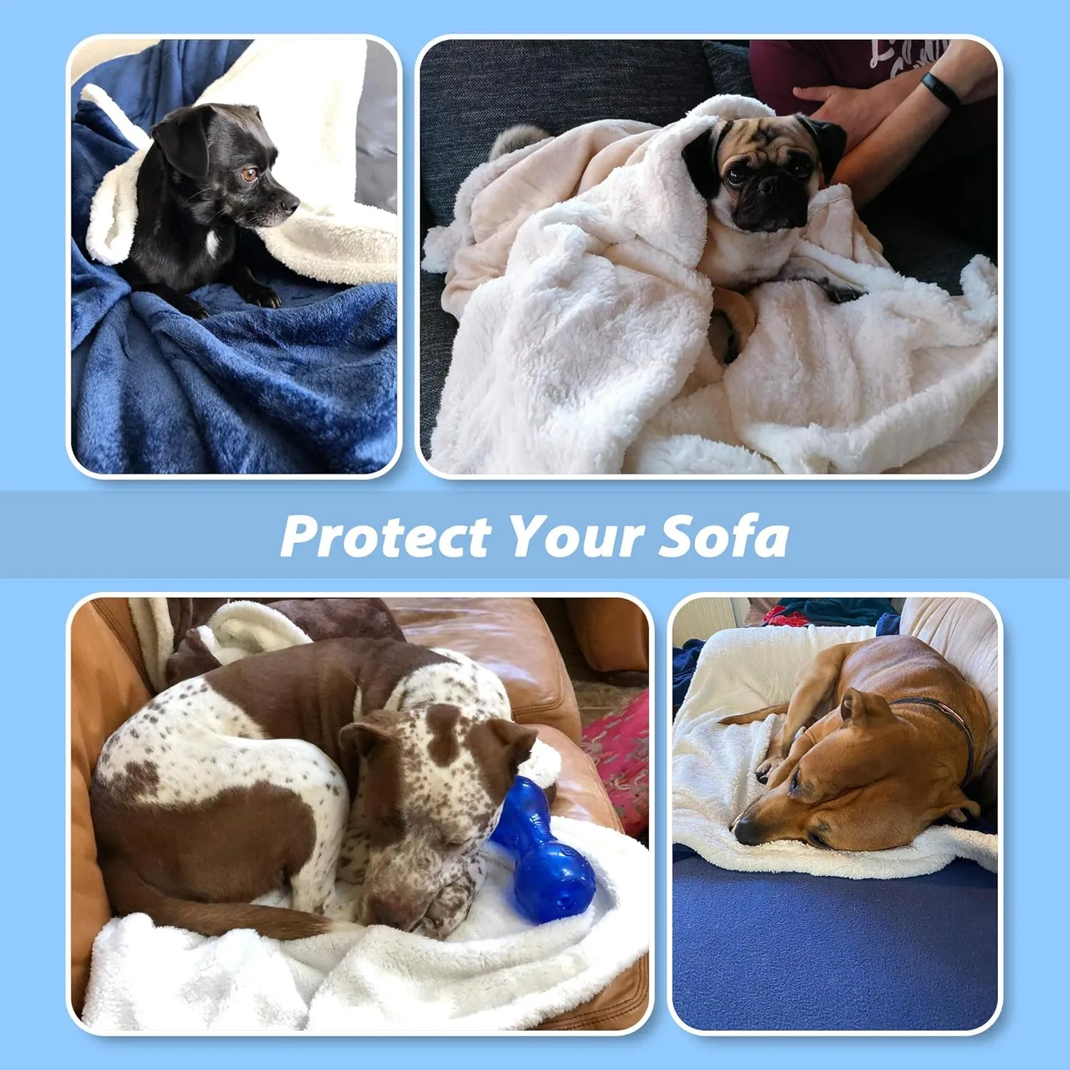 Large Dog Blanket, Super Soft Fluffy Sherpa Fleece Dog Couch Blankets and Throws for Large Medium Small Dogs Puppy Doggy Pet Cats, 50x60 inches