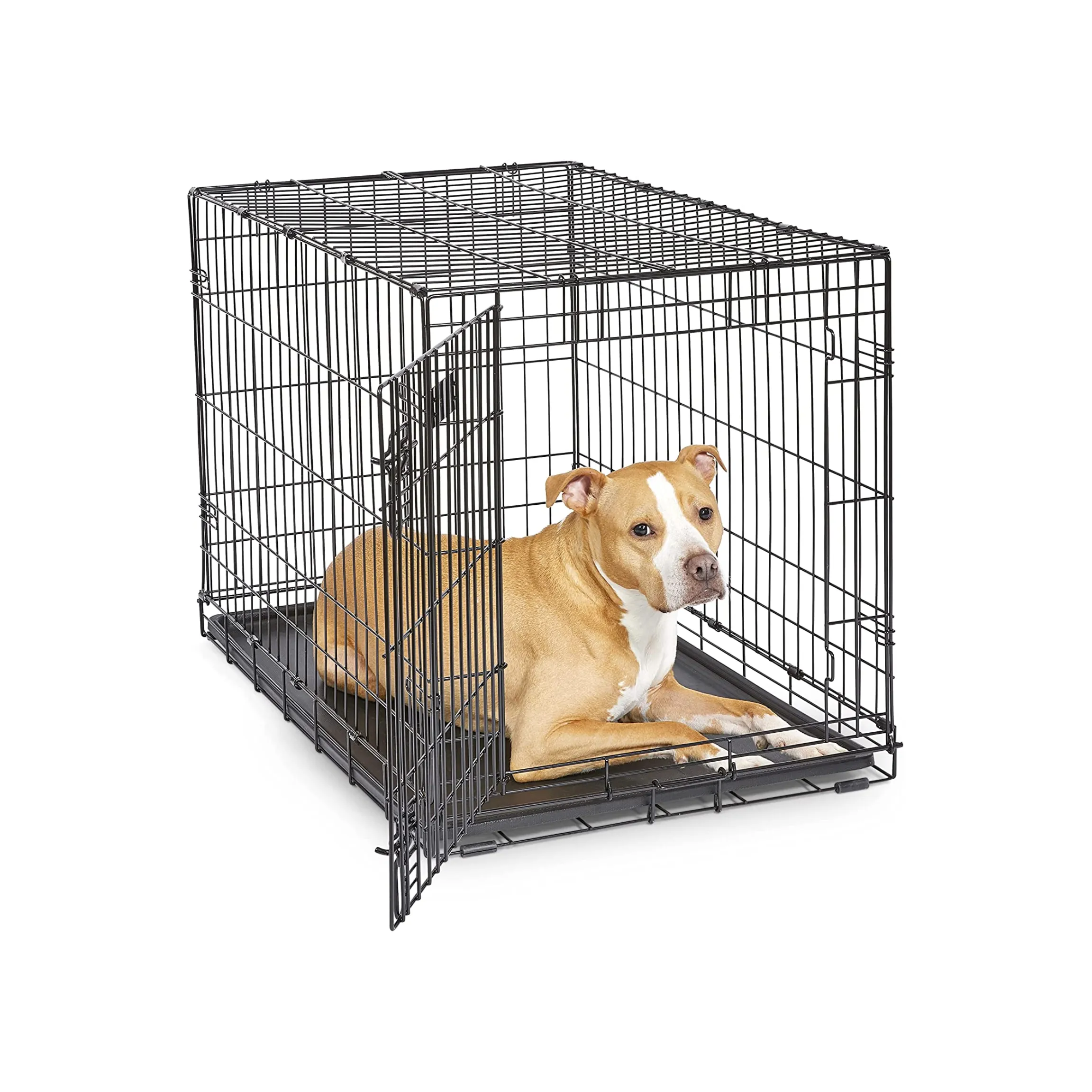 MidWest Homes for Pets Newly Enhanced Single Door 36 Inch with Divider iCrate Dog Crate, Includes Leak-Proof Pan