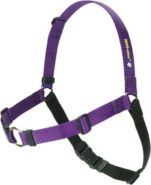No-Pull Dog Harness (Purple, Large Wide