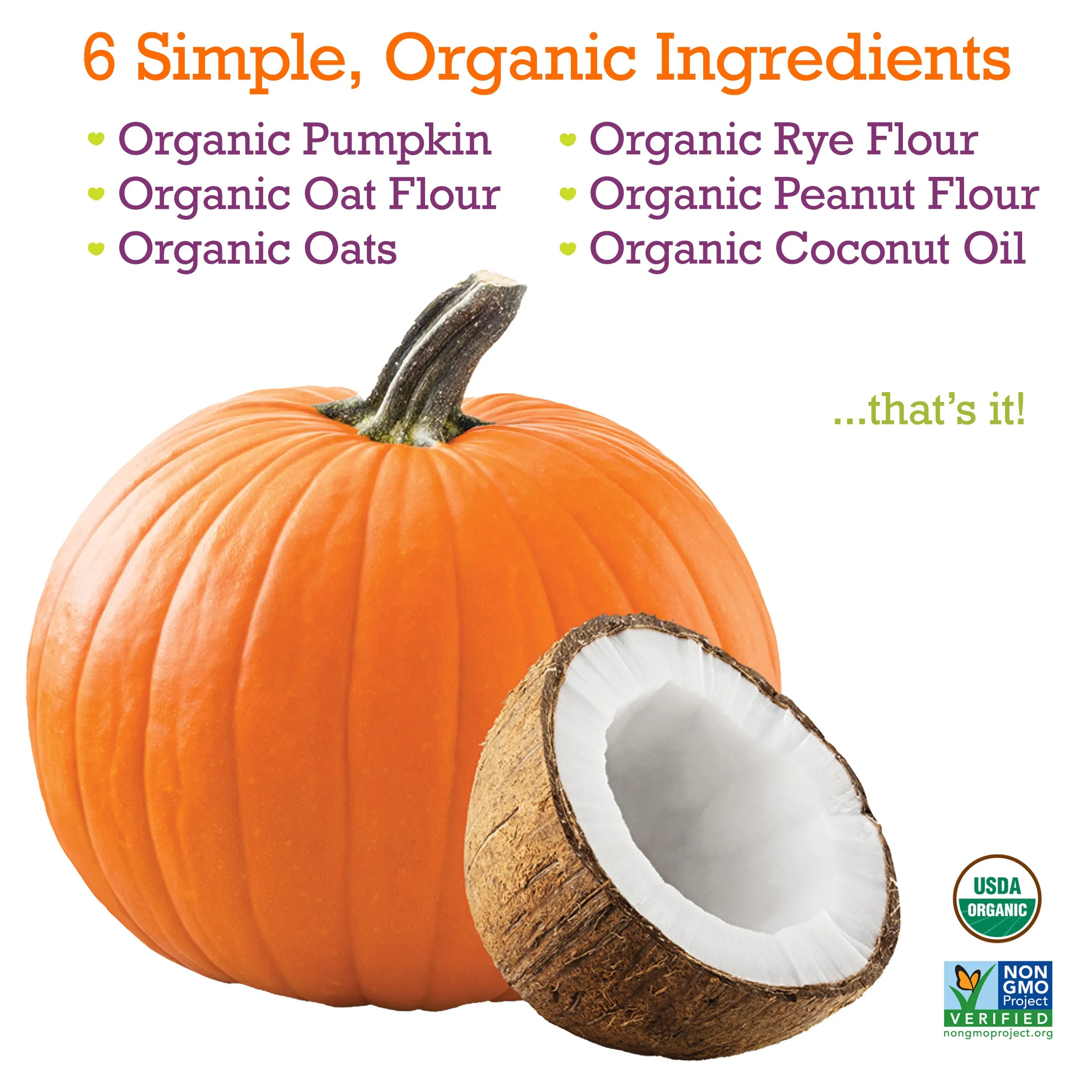 Organic Pumpkin & Coconut Baked Biscuits - Large Bone (5oz)