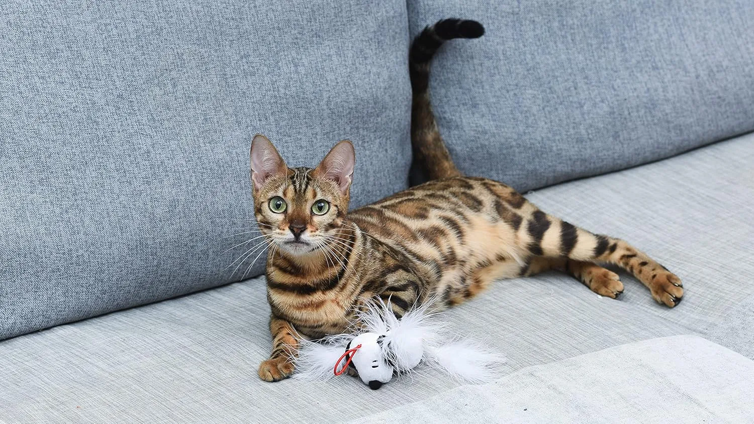 Peanuts 4 Snoopy Catnip Stuffed Plush Cat Toy with Feathers and Elastic Loop for Interactive Play | Peanuts for Pets | Interactive Toy for Cats | Cat Exercise Toy with Feathers and Catnip (FF19707)