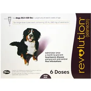 Rx Revolution Canine
