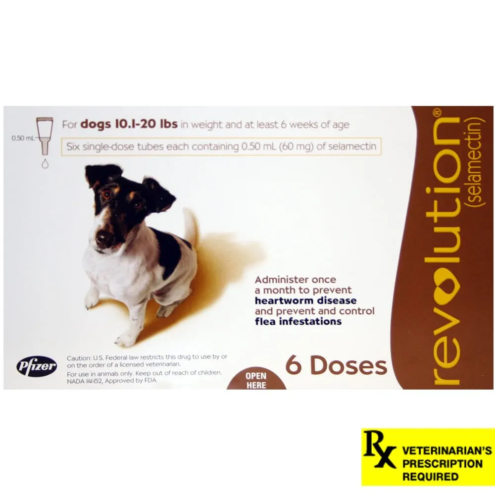Rx Revolution Canine