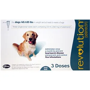 Rx Revolution Canine