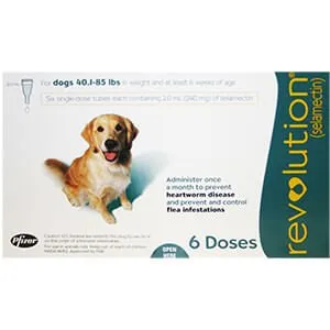 Rx Revolution Canine