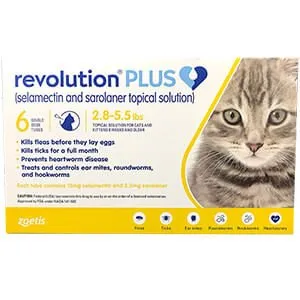 Rx Revolution, Feline