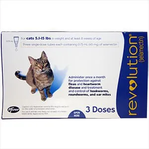Rx Revolution, Feline