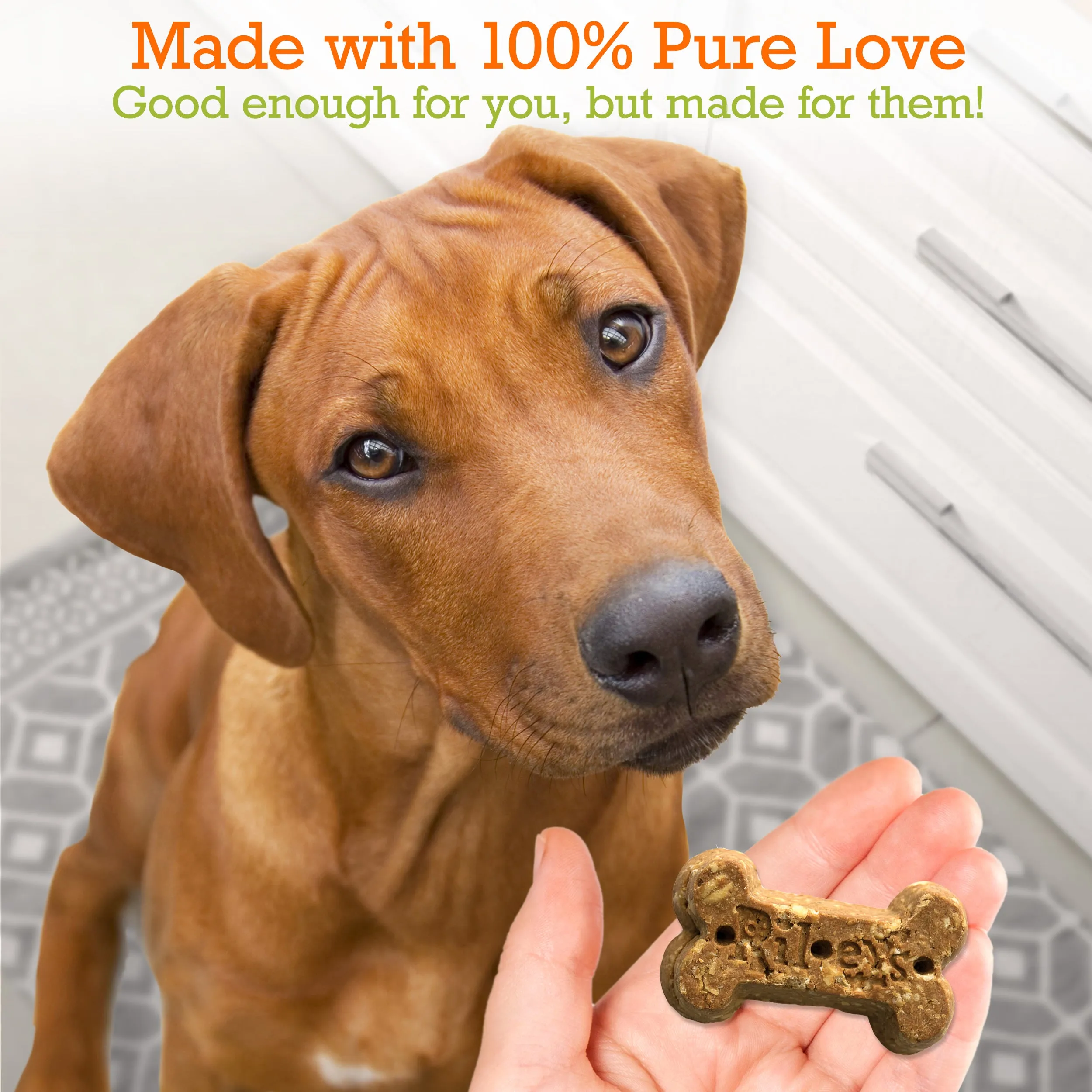 Tasty Organic Apple Baked Biscuits - Large Bone - (5oz)