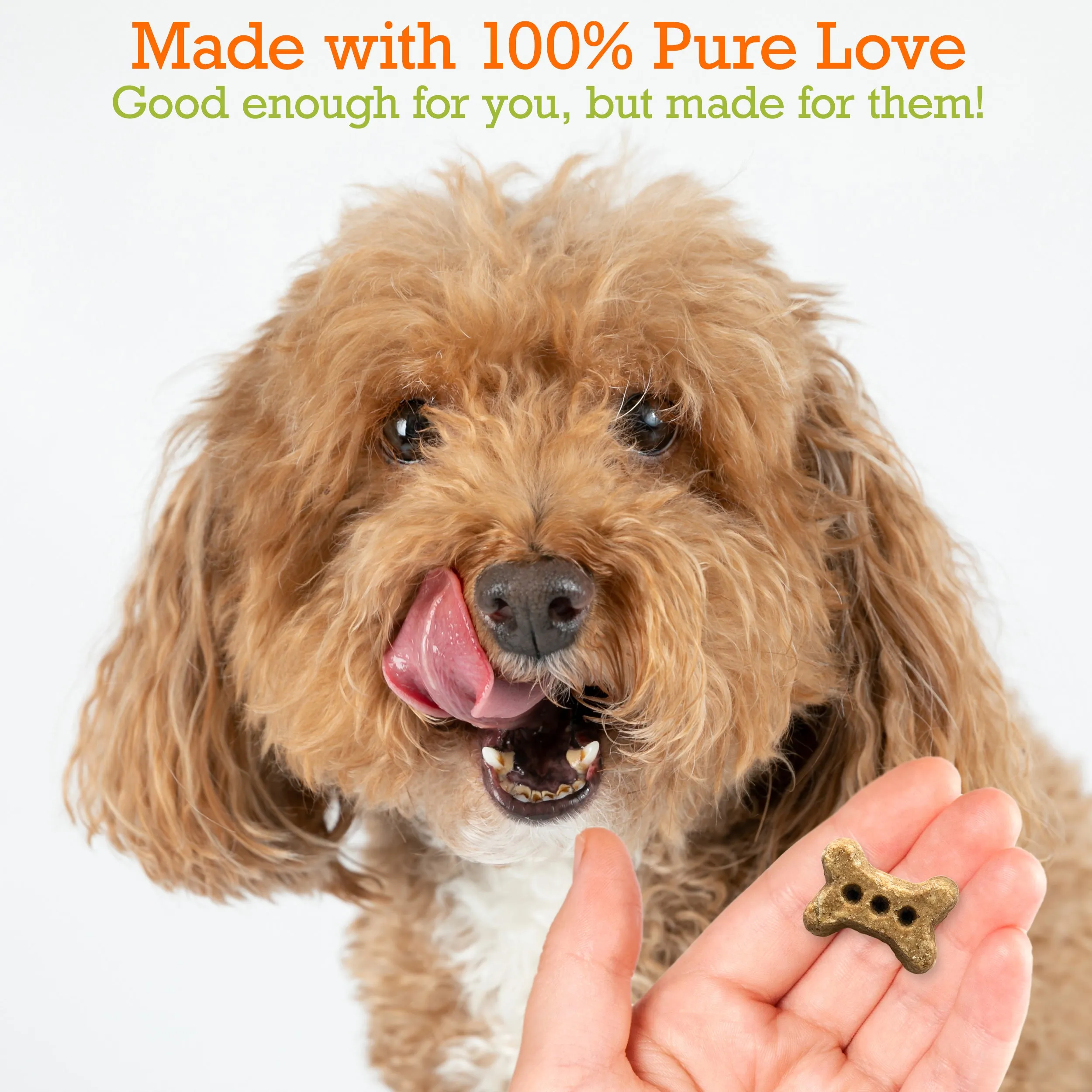 Tasty Organic Apple Baked Biscuits - Small Bone (5oz)