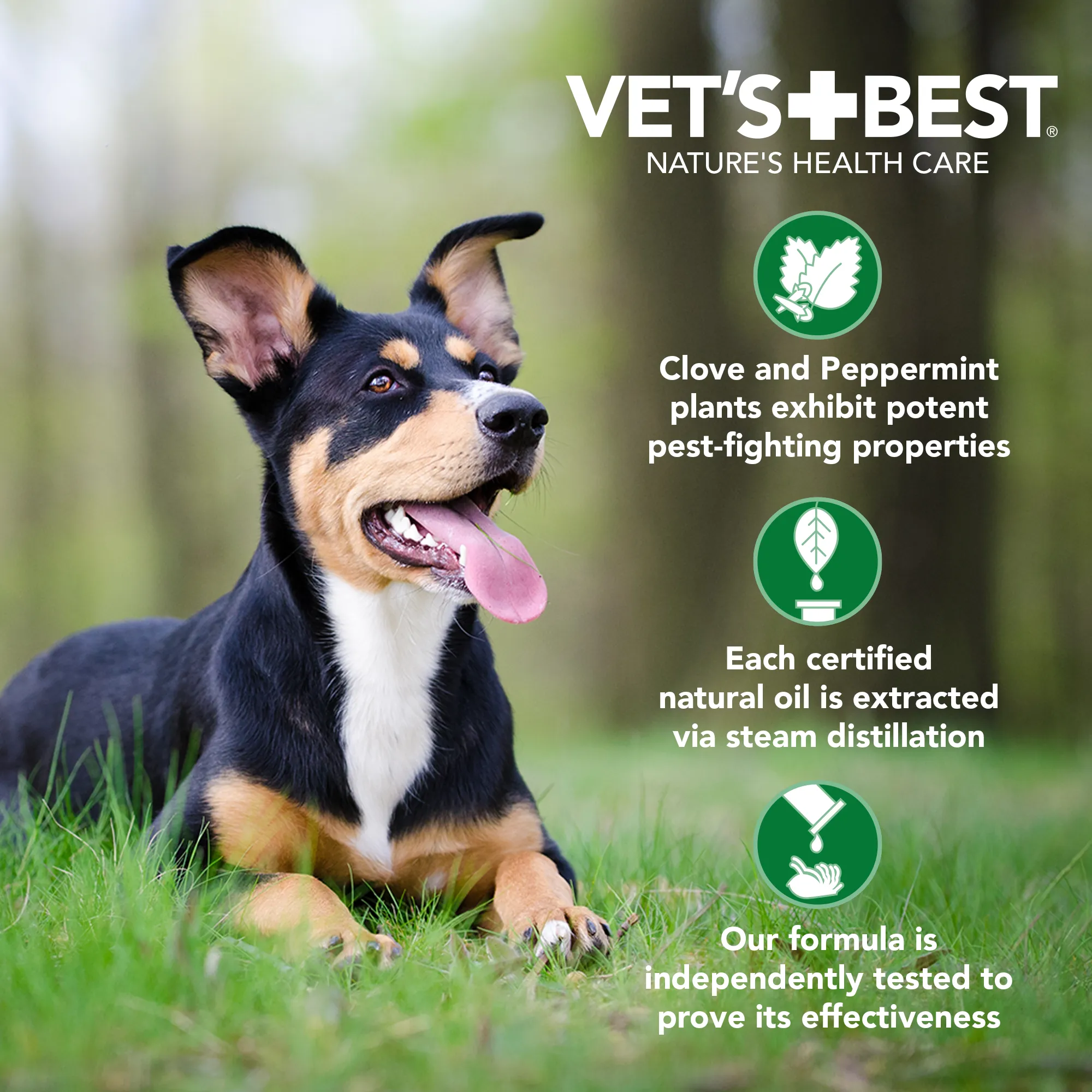 Vet's Best Flea and Tick Spot-On Medium 4ct.